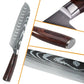 8/10 - Piece Japanese Kitchen Knife Set – Laser Damascus, High - Carbon Steel, Gift Box - KitchenKlout