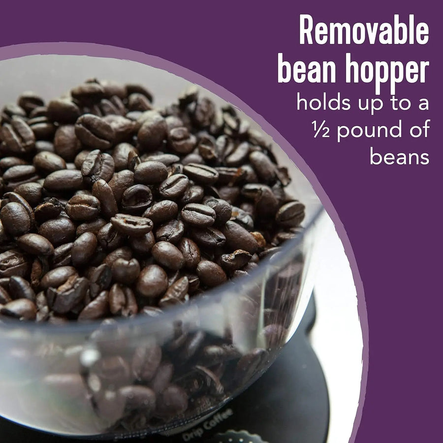 KitchenKlout Automatic Burr Coffee Grinder